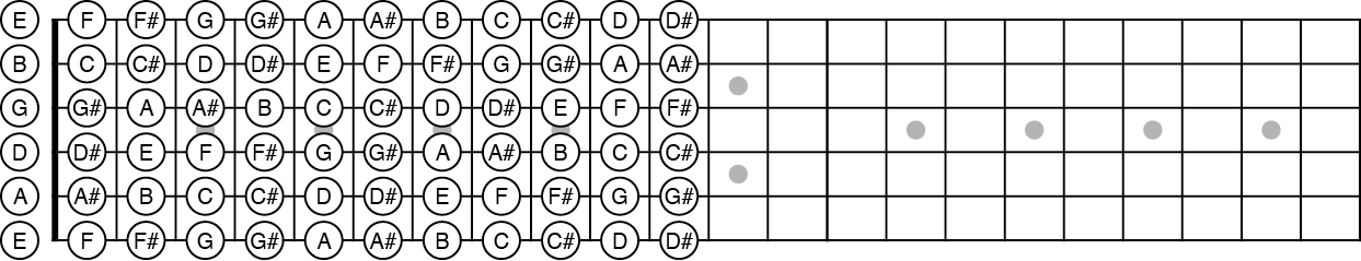 Schéma simplifié du manche de la guitare 2